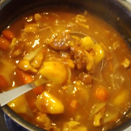 すりおろしりんご入り！まろやかカレー