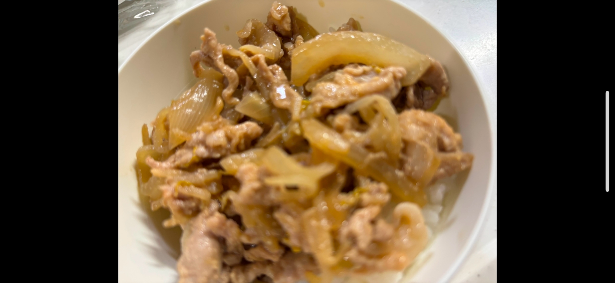 子供が大好きスタミナ丼