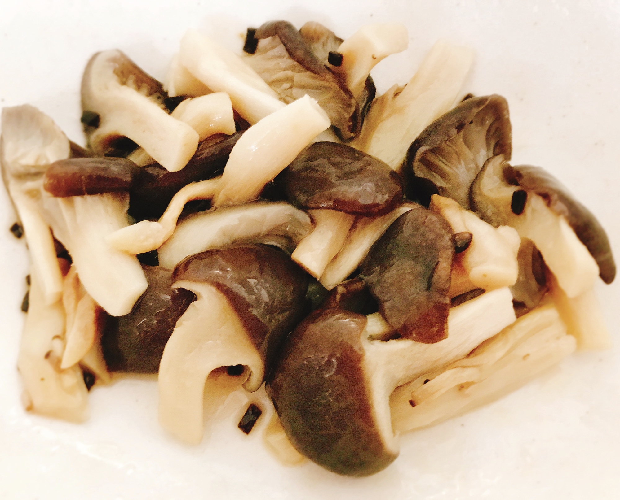 【夫婦のおつまみ】ごま油と塩昆布で作るやみつき平茸