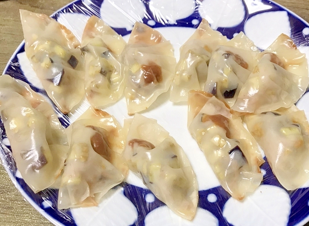 ナスと味噌とアミエビの餃子