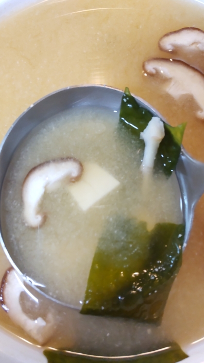 椎茸舞茸豆腐わかめのお味噌汁