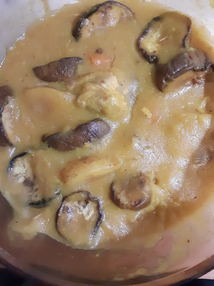 茄子カレー　（我が家の味）