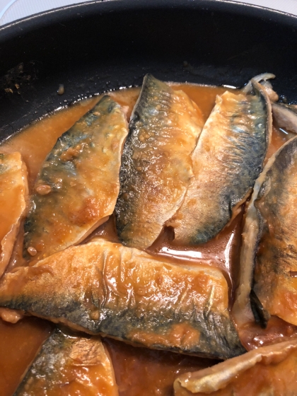 はじめての味噌煮を釣りで獲れたサバで作りました。レシピもわかりやすく美味しくできたので助かりました！ありがとうございます♬