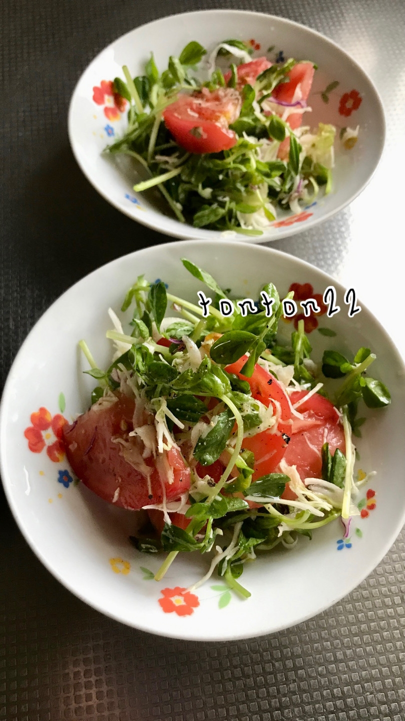 トマトと豆苗とキャベツの黒酢サラダ☆