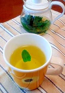 摘みたてミントで 爽やか ミントティー レシピ 作り方 By さー 楽天レシピ 摘みたてミントで 爽やか ミントティー レシピ 作り方 By さー 楽天レシピ