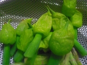 ねぎぼうずの天ぷら レシピ 作り方 By Chaachan6066 楽天レシピ