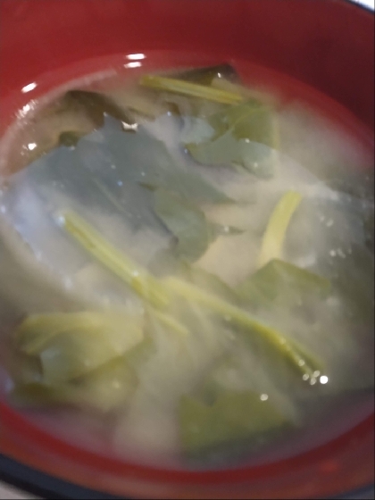 ほうれん草と玉ねぎの味噌汁