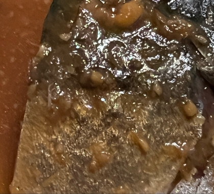子供も食べやすい♪さばの味噌煮