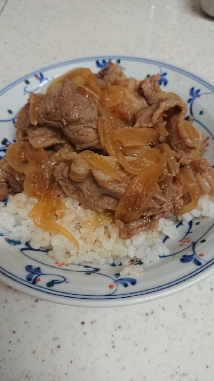 簡単で、しかも美味しかったです♪牛丼はやっぱり汁だくですね
(*´▽｀*)♪