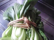 秋鮭とチンゲン菜のちゃんちゃん焼き風 レシピ 作り方 By 鎌倉梅子 楽天レシピ