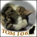 TOM106