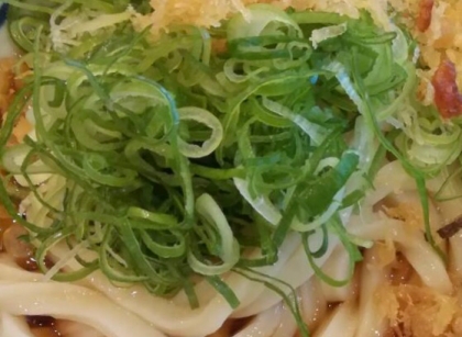 薬味とトッピングで七変化！？ぶっかけうどん