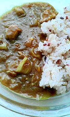 とろっと玉ねぎのチキンカレー