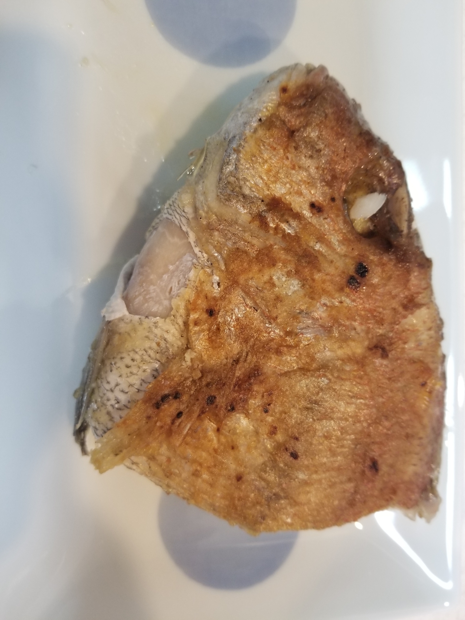 フライパンで鯛の塩焼き レシピ 作り方 By ぎすあんくん 楽天レシピ フライパンで鯛の塩焼き レシピ 作り方 By ぎすあんくん 楽天レシピ