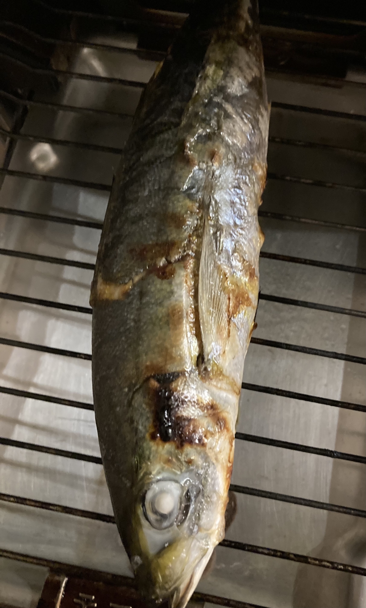 ムロアジのオリーブオイルに漬けこみ焼き レシピ 作り方 By へんてこへんてこママ 楽天レシピ ムロアジのオリーブオイルに漬けこみ焼き レシピ 作り方 By へんてこへんてこママ 楽天レシピ