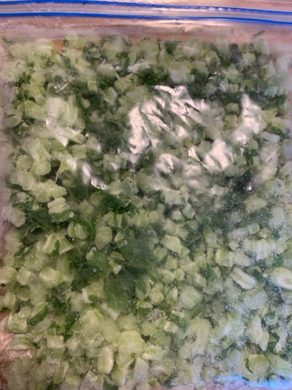 大根葉の冷凍保存ꕤ生のままor塩茹で