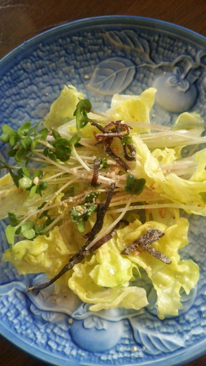 レタスとブロッコリースプラウトのサラダ