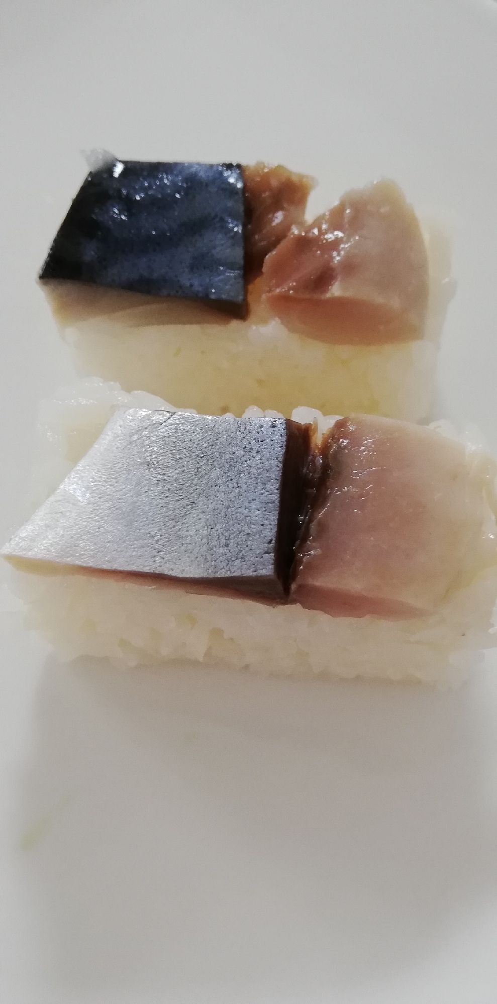 〆鯖の押し寿司