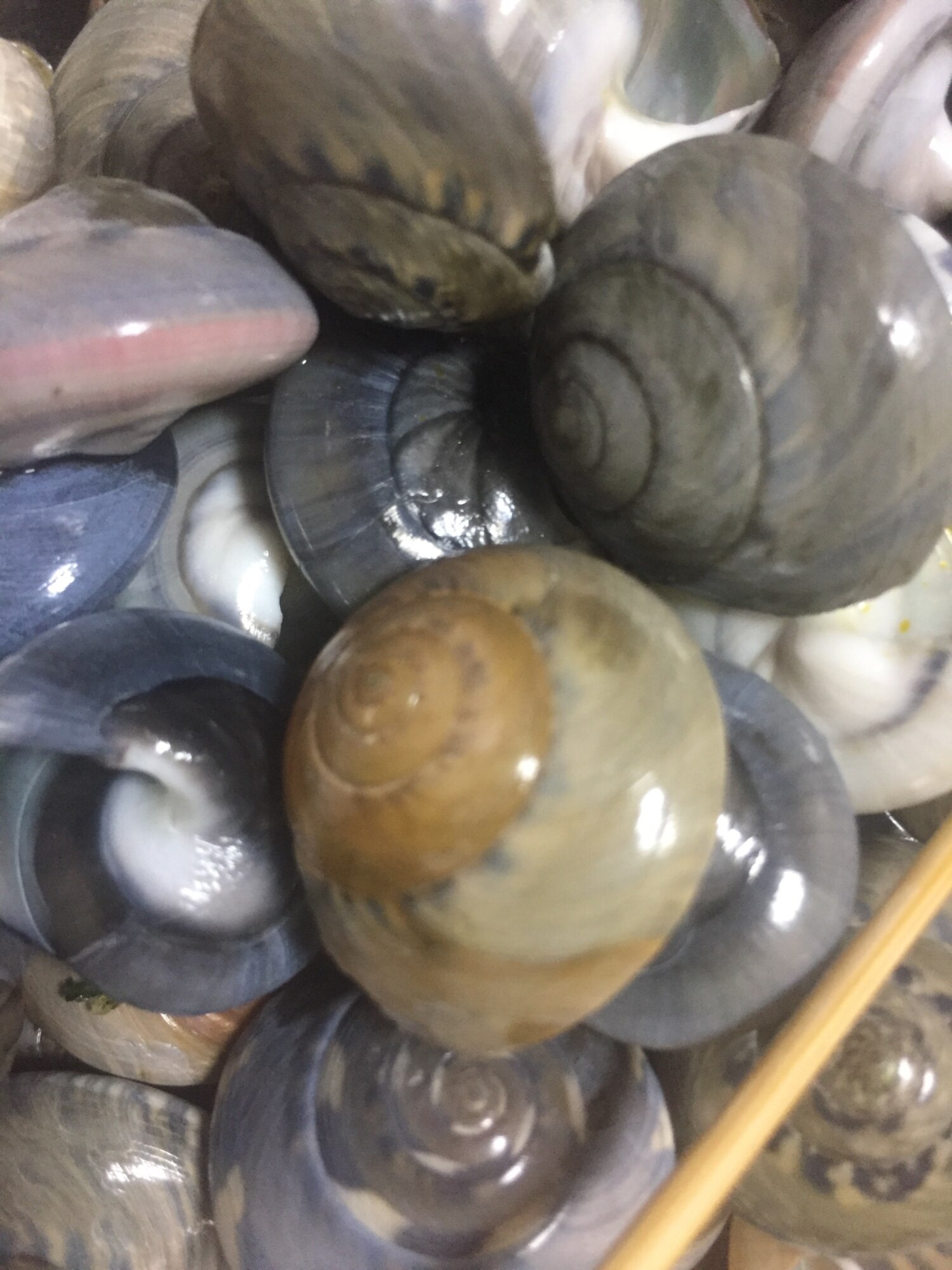 ながらみの塩茹で レシピ 作り方 By Marochan 楽天レシピ