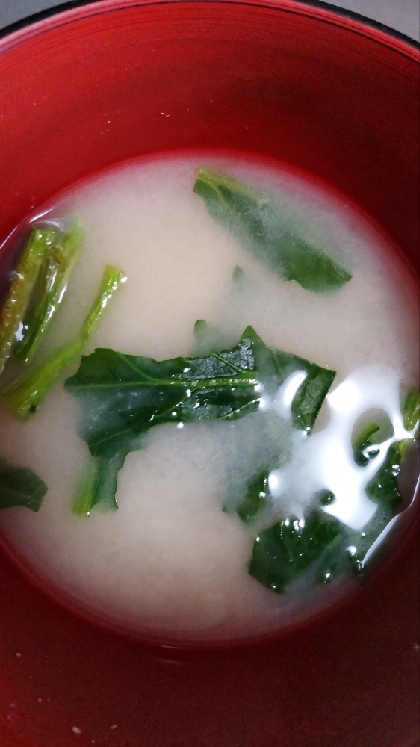 小松菜の液体みそ味噌汁