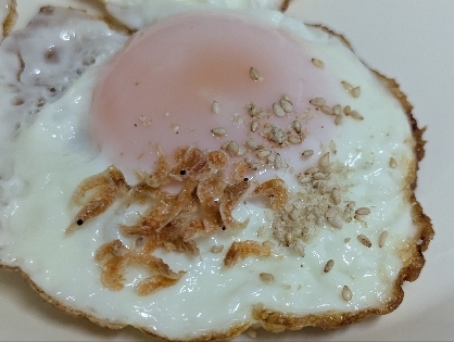 あみえびと黒すりごまの目玉焼き