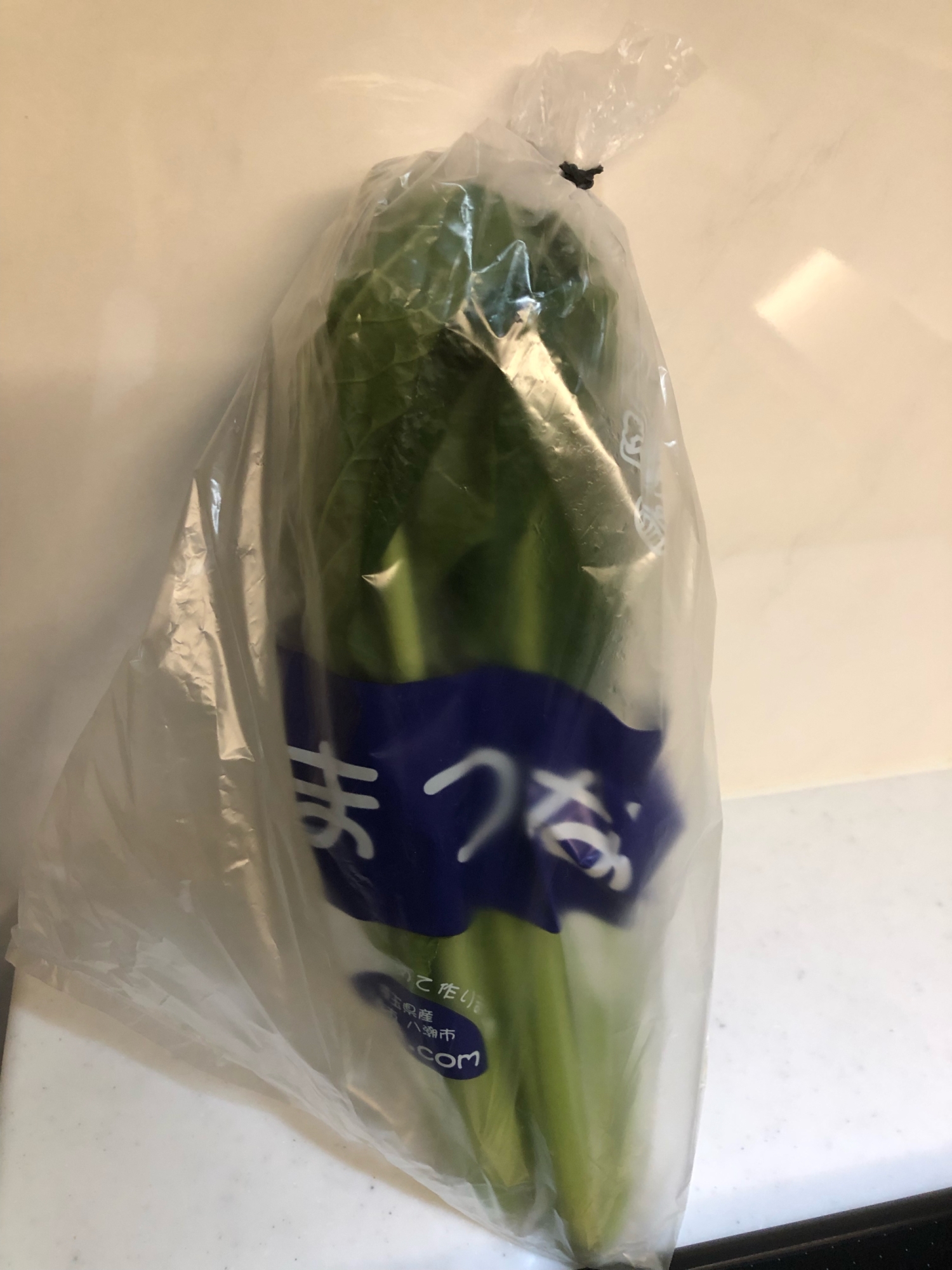 小松菜の長持ち保存方法