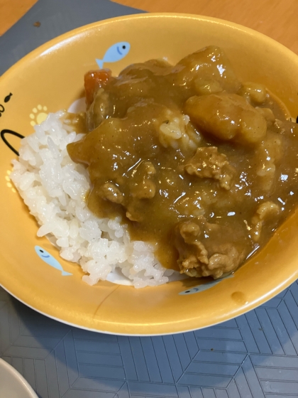 隠し味で簡単に美味しいカレー＋＋