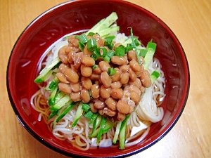 納豆きゅうりそうめん レシピ 作り方 By Lukママ 楽天レシピ 納豆きゅうりそうめん レシピ 作り方 By Lukママ 楽天レシピ