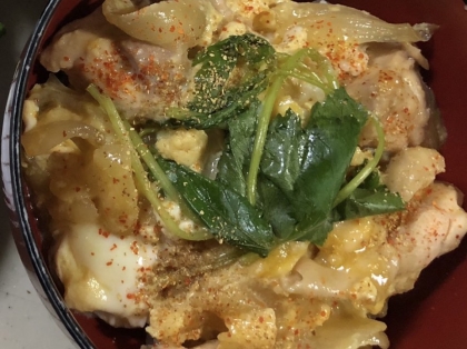 1人分の親子丼
