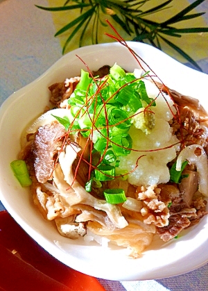 大根おろしであっさり♡我が家の牛丼