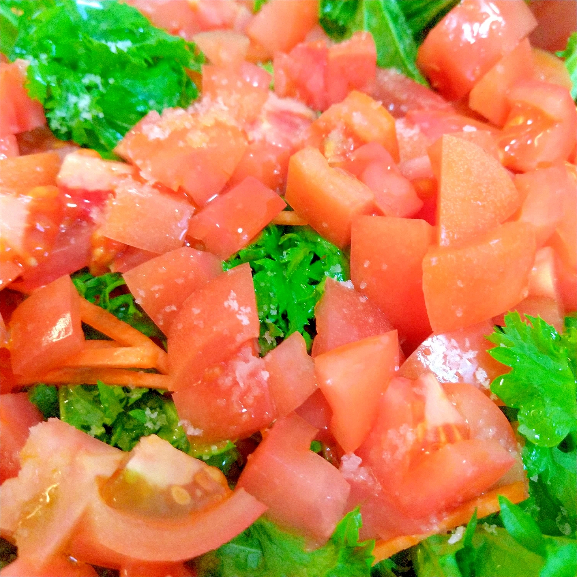 トマトとわさび菜のサラダ
