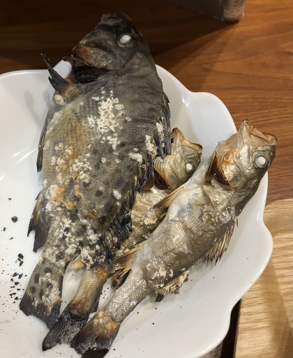 【コツ】鮎の塩焼き・グリルで美味しい鮎の焼き方