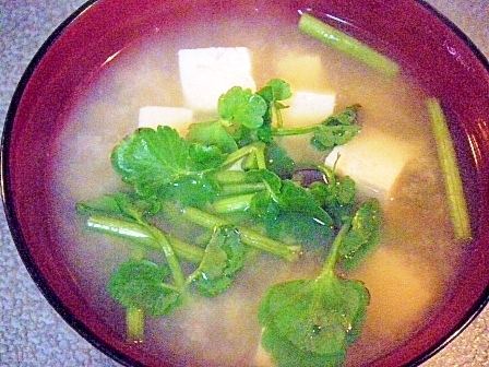 シジミと芹と豆腐のお味噌汁