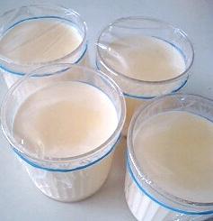 ゼラチンで簡単においしい 牛乳プリン レシピ 作り方 By Ayak Ko 楽天レシピ