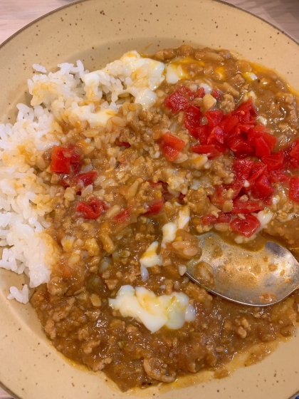 厚揚げとトマトの無水キーマカレー