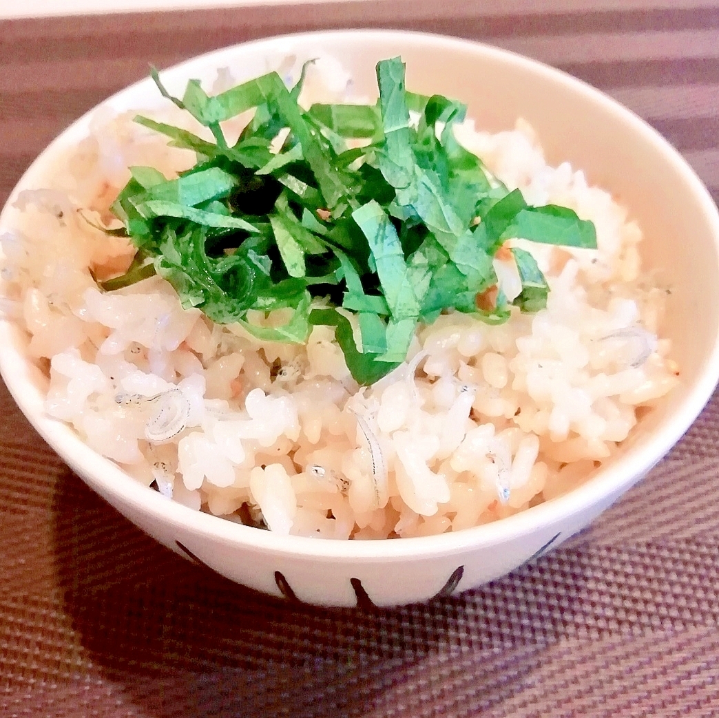 【炊き込みご飯】じゃこ飯