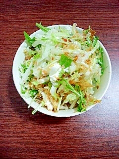 白菜 水菜とカッテージチーズの和風オニオンサラダ レシピ 作り方 By ありき 1 楽天レシピ