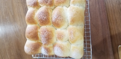 むちむち！しっとり！なミルクちぎりパン