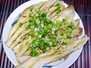 茄子のネギ油かけ レシピ 作り方 By エミネネ 楽天レシピ