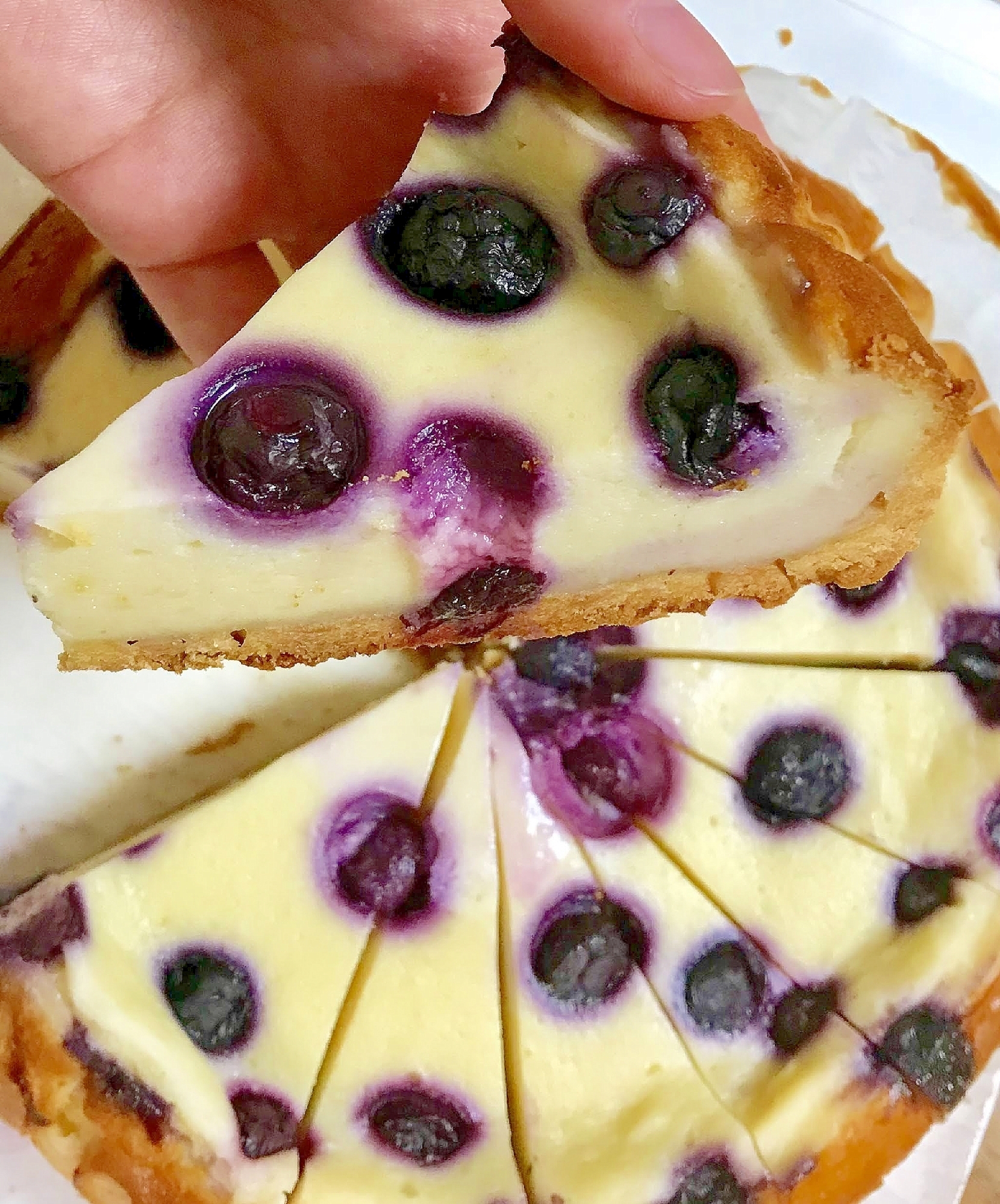 圧力鍋deブルーベリーチーズタルト 18ｃｍ レシピ 作り方 By きーころです 楽天レシピ