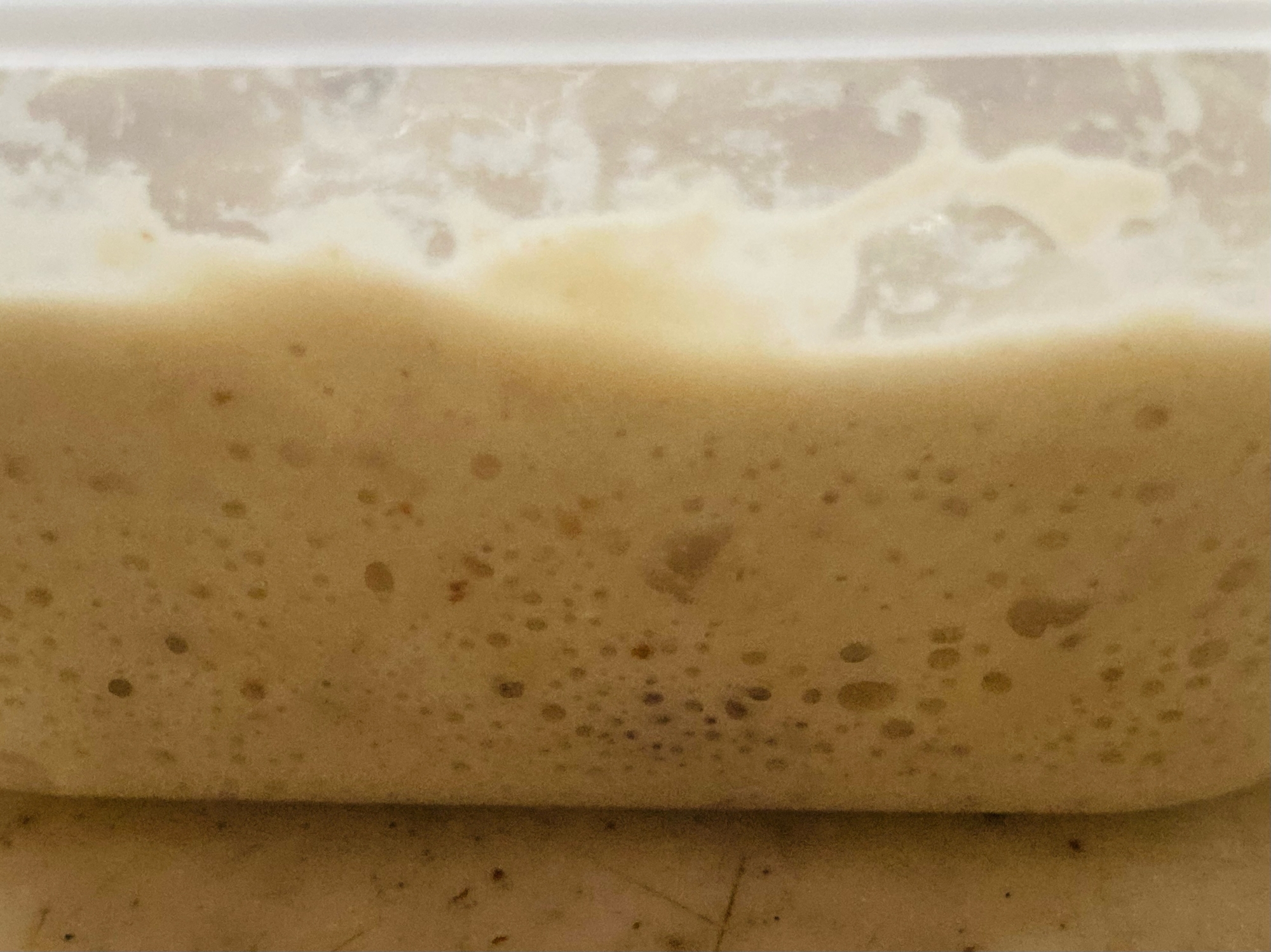 自家製レーズン酵母の元種起こし