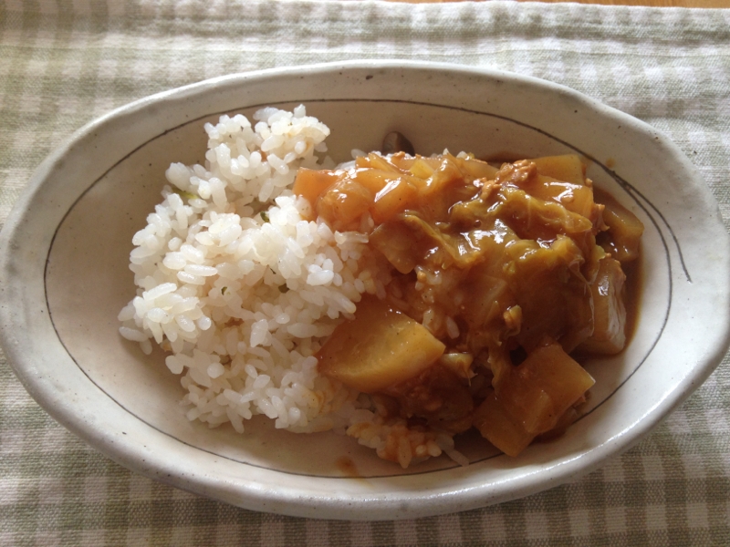 大根と白菜の和風カレー