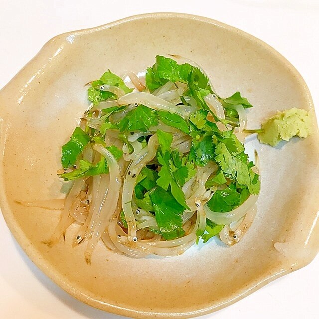 生白魚とパクチーの ワサビ醤油和え レシピ 作り方 By だだちゃまめごはん 楽天レシピ