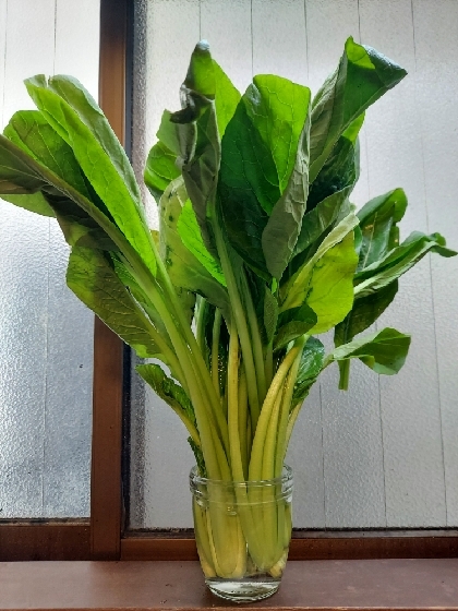 小松菜の茎の筋っぽい食感をやわらかくする方法