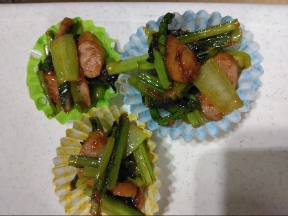 栄養たっぷりの小松菜で主人のお弁当用に作りました。しっかりとした味付けでした。