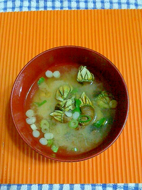 亀の手の味噌汁 レシピ 作り方 By テツオ63 楽天レシピ 亀の手の味噌汁 レシピ 作り方 By テツオ63 楽天レシピ