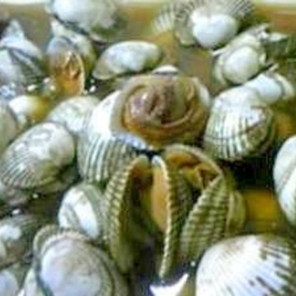 ふっくらしてやわらか海の味 赤貝の煮つけ レシピ 作り方 By Native Cafe 楽天レシピ ふっくらしてやわらか海の味 赤貝の煮つけ レシピ 作り方 By Native Cafe 楽天レシピ