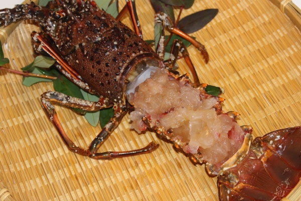 伊勢海老のお刺身 レシピ 作り方 By 海が好き 楽天レシピ 伊勢海老のお刺身 レシピ 作り方 By 海が好き 楽天レシピ