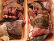 セリたっぷり鶏肉入り寒鱈あら汁 レシピ 作り方 By ブルーボリジ 楽天レシピ