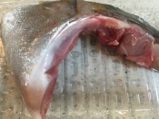 簡単 節約 かんぱち塩焼き レシピ 作り方 By Happylifes 楽天レシピ 簡単 節約 かんぱち塩焼き レシピ 作り方 By Happylifes 楽天レシピ